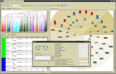 Scaffold Hunter - A tool for the visual analysis and exploration of chemical space