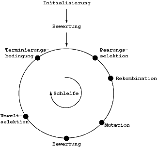 Iterationsschema eines Standard-EA